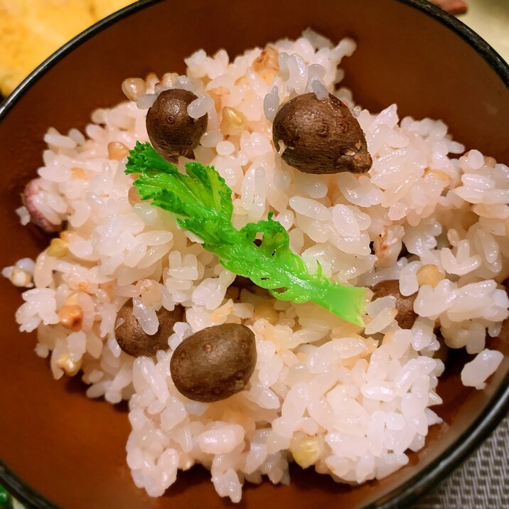 滋味満彩むかごと蕎麦の実のごはん